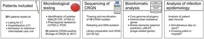 Molecular Surveillance of Carbapenem-Resistant Gram-Negative Bacteria in Liver Transplant Candidates